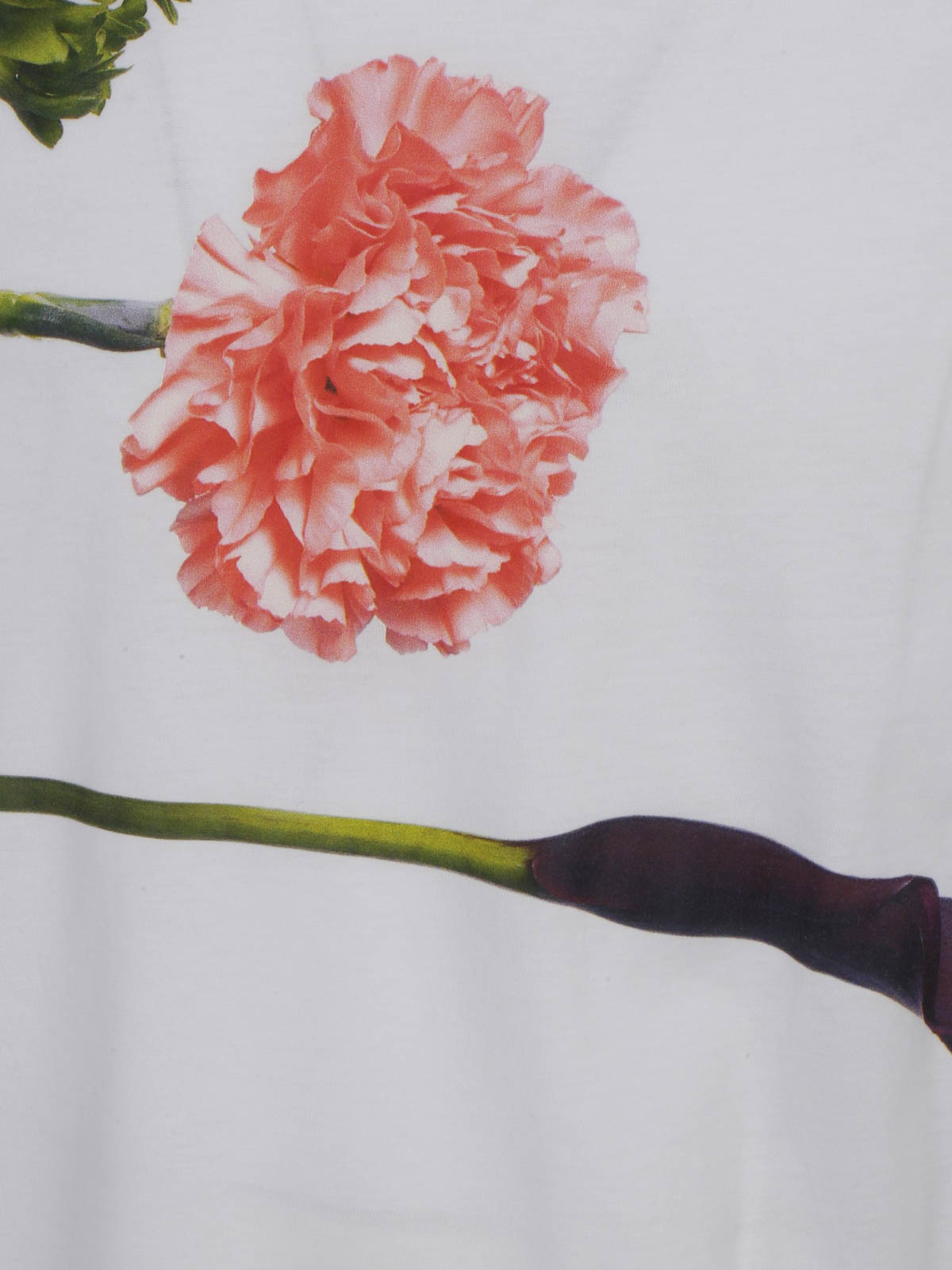 VALENTINO フラワーデザイン Tシャツ 中古・古着通販】VALENTINO (ヴァレンティノ) 23SS Flower